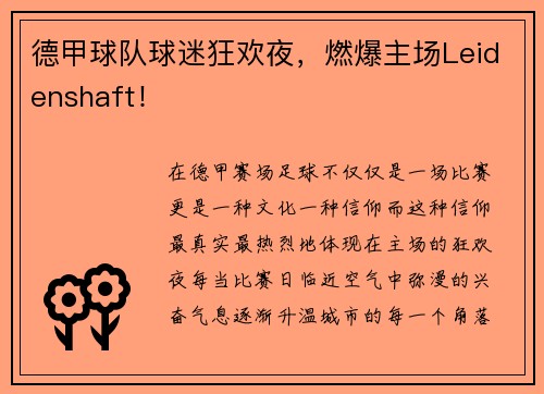 德甲球队球迷狂欢夜,燃爆主场Leidenshaft!